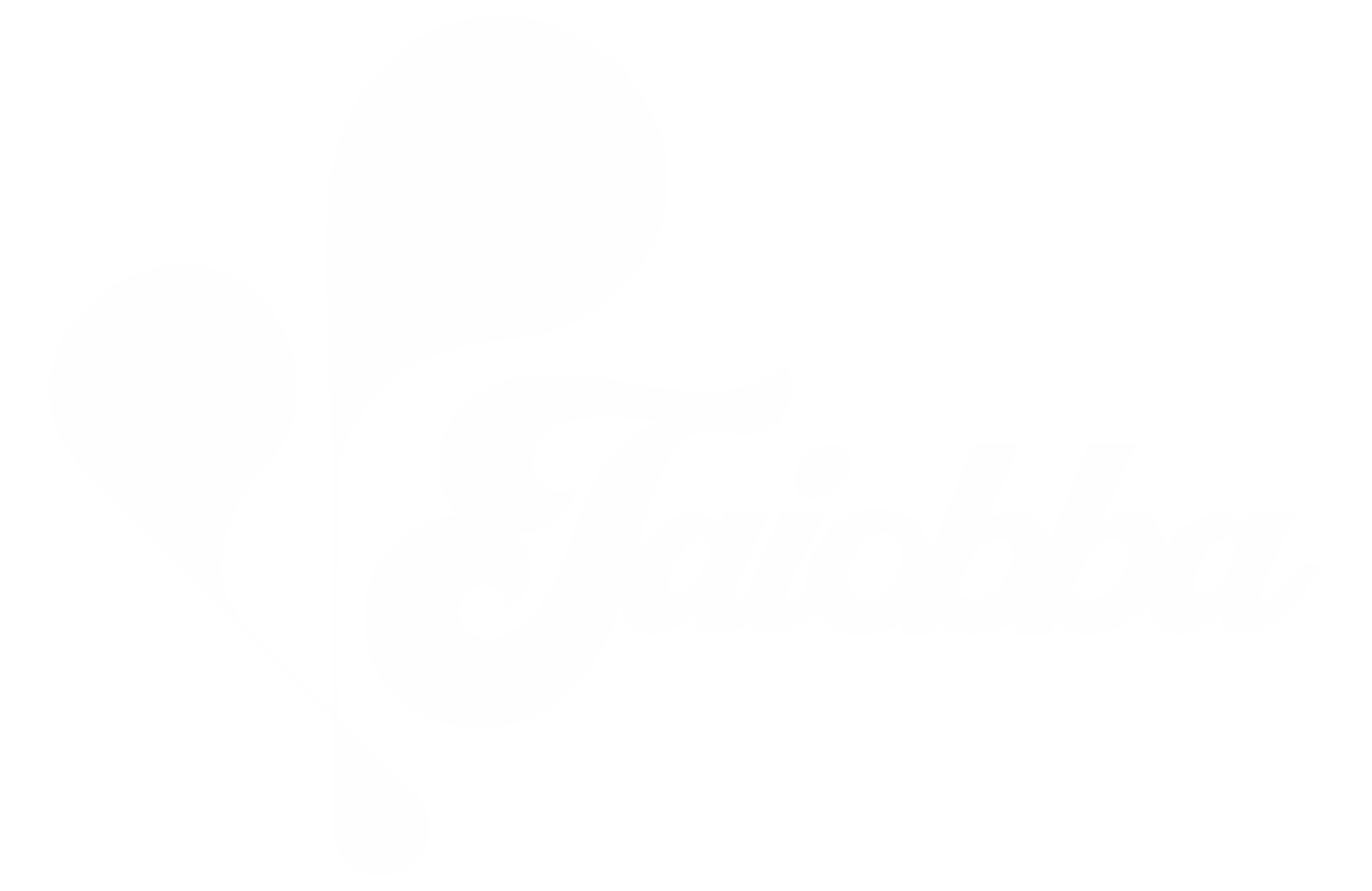 Taiobba Vibes